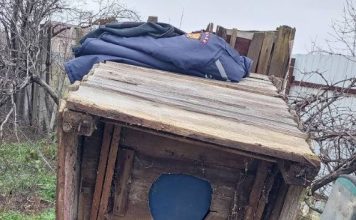 FOTO-VIDEO Trei cățeluși căzuți într-o fosă, salvați de pompierii voluntari din Odobești