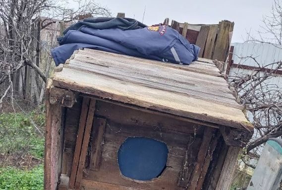 FOTO-VIDEO Trei cățeluși căzuți într-o fosă, salvați de pompierii voluntari din Odobești