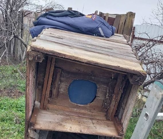 FOTO-VIDEO Trei cățeluși căzuți într-o fosă, salvați de pompierii voluntari din Odobești