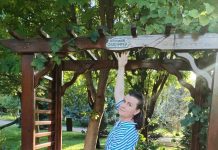 A murit profesoara Simona Ceamburu. Avea doar 40 de ani