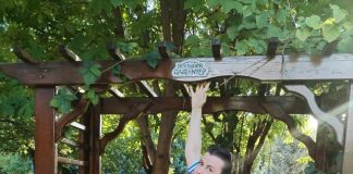 A murit profesoara Simona Ceamburu. Avea doar 40 de ani