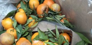 FOTO ANPC: peste 1700 firme controlate în această săptămână, amenzi de peste 14,4 milioane lei