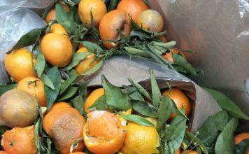 FOTO ANPC: peste 1700 firme controlate în această săptămână, amenzi de peste 14,4 milioane lei