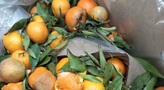 FOTO ANPC: peste 1700 firme controlate în această săptămână, amenzi de peste 14,4 milioane lei