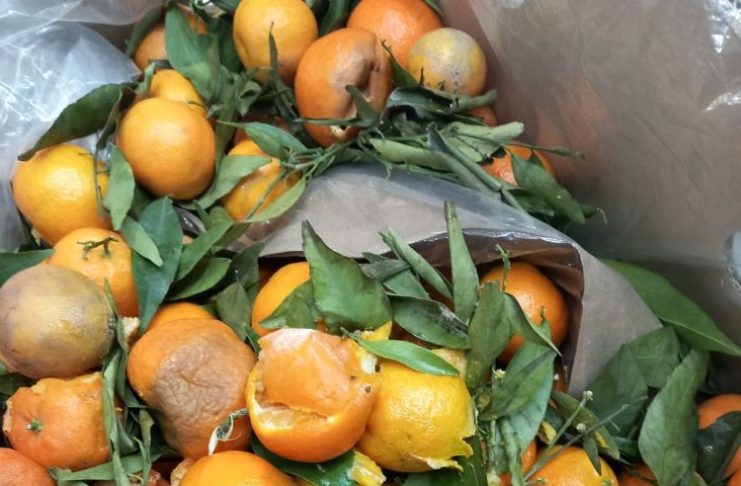 FOTO ANPC: peste 1700 firme controlate în această săptămână, amenzi de peste 14,4 milioane lei