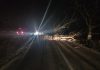 ULTIMA ORĂ Trafic blocat între Domnești și Păunești din cauza unui copac doborât de vânt