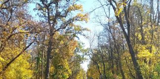 La Crâng, de Crăciun – Tradițiile ne adună, bucuria ne unește