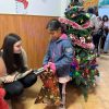 donatii cuza mihalceni 5