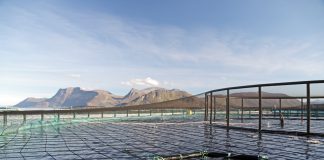 Românii, așteptați să lucreze la fermele de somon din Norvegia – salarii de peste 3000 de euro