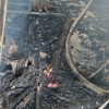 incendiu 2