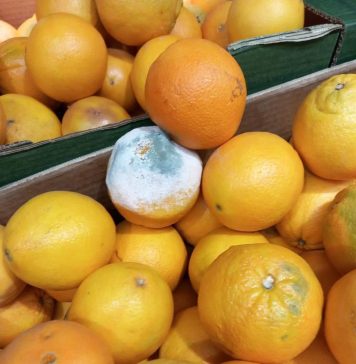 FOTO Ce au mai găsit comisarii de la Protecția Consumatorilor: produse stricate, jucării cu deficiențe, echipamente ruginite