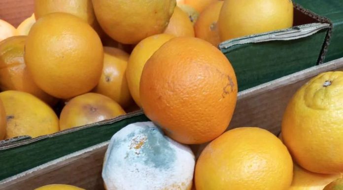 FOTO Ce au mai găsit comisarii de la Protecția Consumatorilor: produse stricate, jucării cu deficiențe, echipamente ruginite