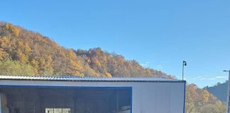 Activitățile Gărzii Forestiere Focșani în noiembrie: controale la fondul forestier și fondul cinegetic, sancțiuni, confiscări, verificarea lucrărilor de împădurire