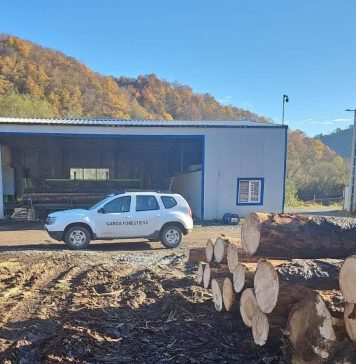 Activitățile Gărzii Forestiere Focșani în noiembrie: controale la fondul forestier și fondul cinegetic, sancțiuni, confiscări, verificarea lucrărilor de împădurire