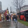 mascati paunesti botosani