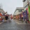 mascati paunesti botosani 2