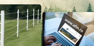 Peste 500 de dosare aprobate de Mediu pentru finanțarea instalării de garduri electrice