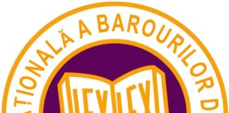 S-a dat avocat și a fost condamnat / Bărbatul trebuie să achite și daune materiale