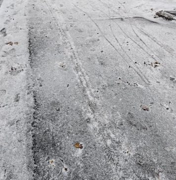 A fost o noapte geroasă (și) în Vrancea / Temperaturile vor crește ușor în acest weekend