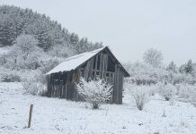 Actualizare meteo: atenționări de ninsoare viscolită în multe zone din țară / Vântul își face de cap până luni seară