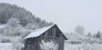 Actualizare meteo: atenționări de ninsoare viscolită în multe zone din țară / Vântul își face de cap până luni seară