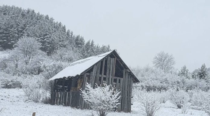 Actualizare meteo: atenționări de ninsoare viscolită în multe zone din țară / Vântul își face de cap până luni seară