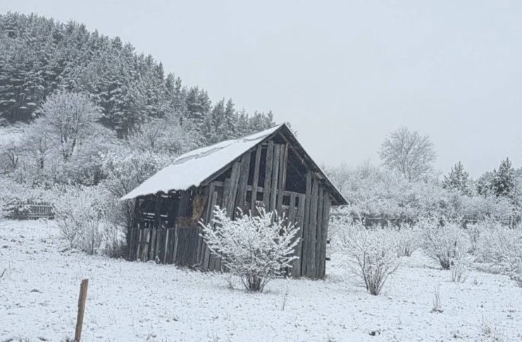 Actualizare meteo: atenționări de ninsoare viscolită în multe zone din țară / Vântul își face de cap până luni seară