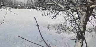 Meteo: ianuarie la sub zero grade Celsius, în continuare