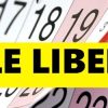 zile libere 2