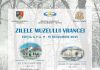 Expoziții, lansări și prezentări de carte, la Zilele Muzeului Vrancei