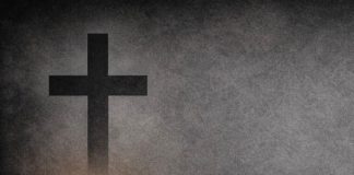 DSVSA Vrancea in doliu: a murit dr. veterinar Emilian Grosu