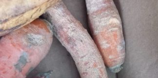 FOTO Protecția Consumatorilor, controale în mediul rural