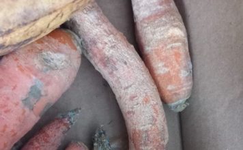 FOTO Protecția Consumatorilor, controale în mediul rural