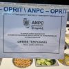 anpc control 6