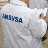 ansvsa 1