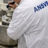 ansvsa
