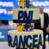 bal pnl 12