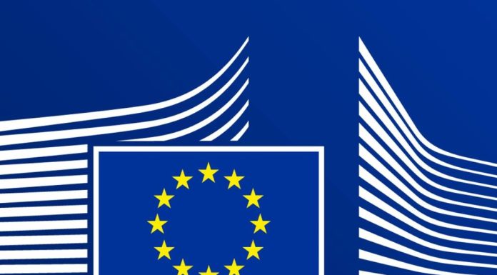 Stagii de practică pentru tinerii absolvenți la Delegația Uniunii Europene de la Strasbourg