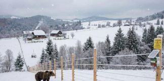 Bani mulți alocați pentru instalarea de garduri electrice