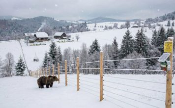 Bani mulți alocați pentru instalarea de garduri electrice