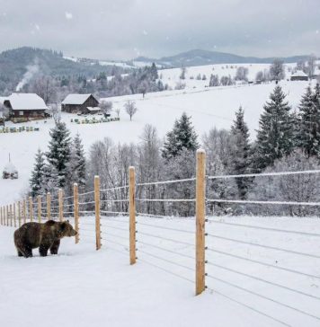 Bani mulți alocați pentru instalarea de garduri electrice