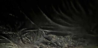 APEL UMANITAR Familie afectată de incendiu în Măicănești, în noaptea de Anul Nou