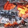 jar foc 1