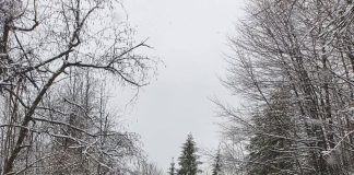 Meteo: vremea se răcește / Revin ninsorile și viscolul