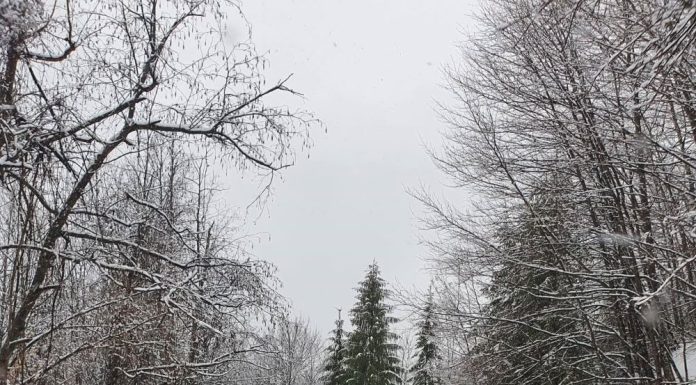 Meteo: vremea se răcește / Revin ninsorile și viscolul