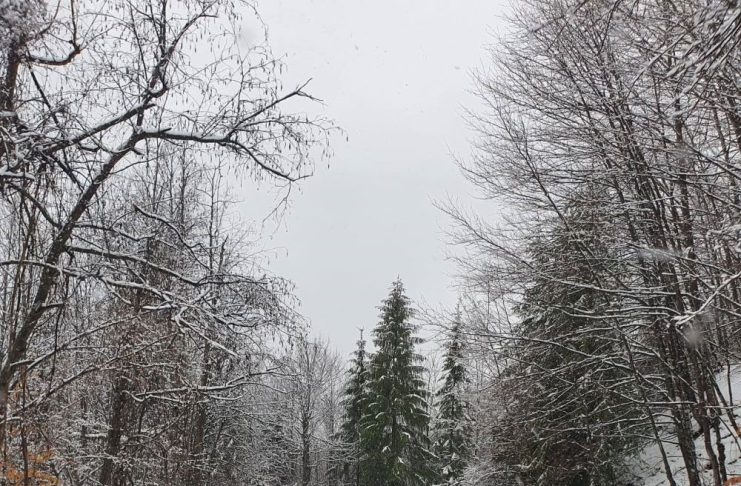 Meteo: vremea se răcește / Revin ninsorile și viscolul