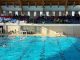 Vrancea devine capitala poloului românesc: Cupa României la Polo (Seniori și Senioare) se desfășoară la Focșani, în perioada 9–12 septembrie PAAAAA1BMVEWurq51dlI4AAAAAXRSTlMmkutdmwAAAA5JREFUKM9jGAWjYJABAAKUAAHoEAeuAAAAAElFTkSuQmCC
