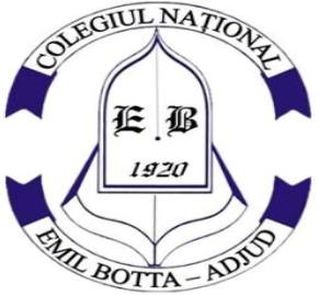 Ce spune conducerea Colegiului ”Emil Botta” despre perchezițiile ce au vizat profesori de la această instituție