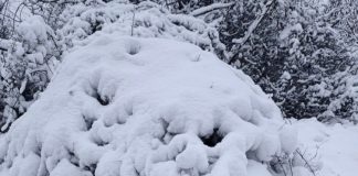 Meteo: atenționările de ger, prelungite până luni, în Vrancea