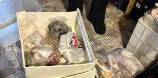 ANSVSA: peste 2.000 unități de alimentație publică verificate săptămâna trecută / Amenzi de 3,8 milioane lei, confiscări și suspendări de activitate